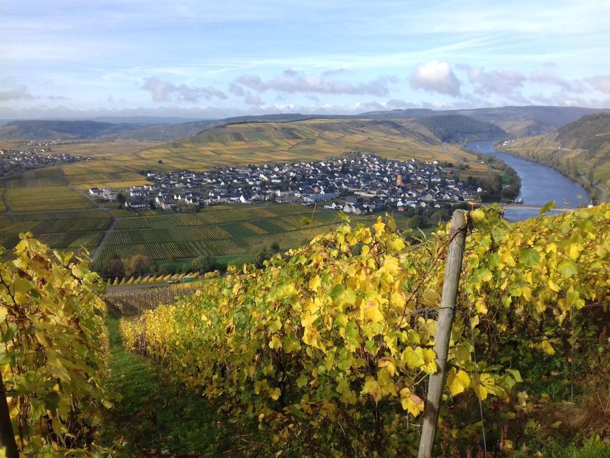 Ferienwohnung Bergblick Trittenheim Zewnętrze zdjęcie