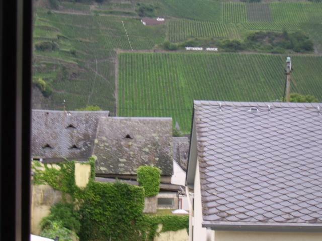 Ferienwohnung Bergblick Trittenheim Zewnętrze zdjęcie