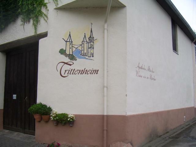 Ferienwohnung Bergblick Trittenheim Zewnętrze zdjęcie
