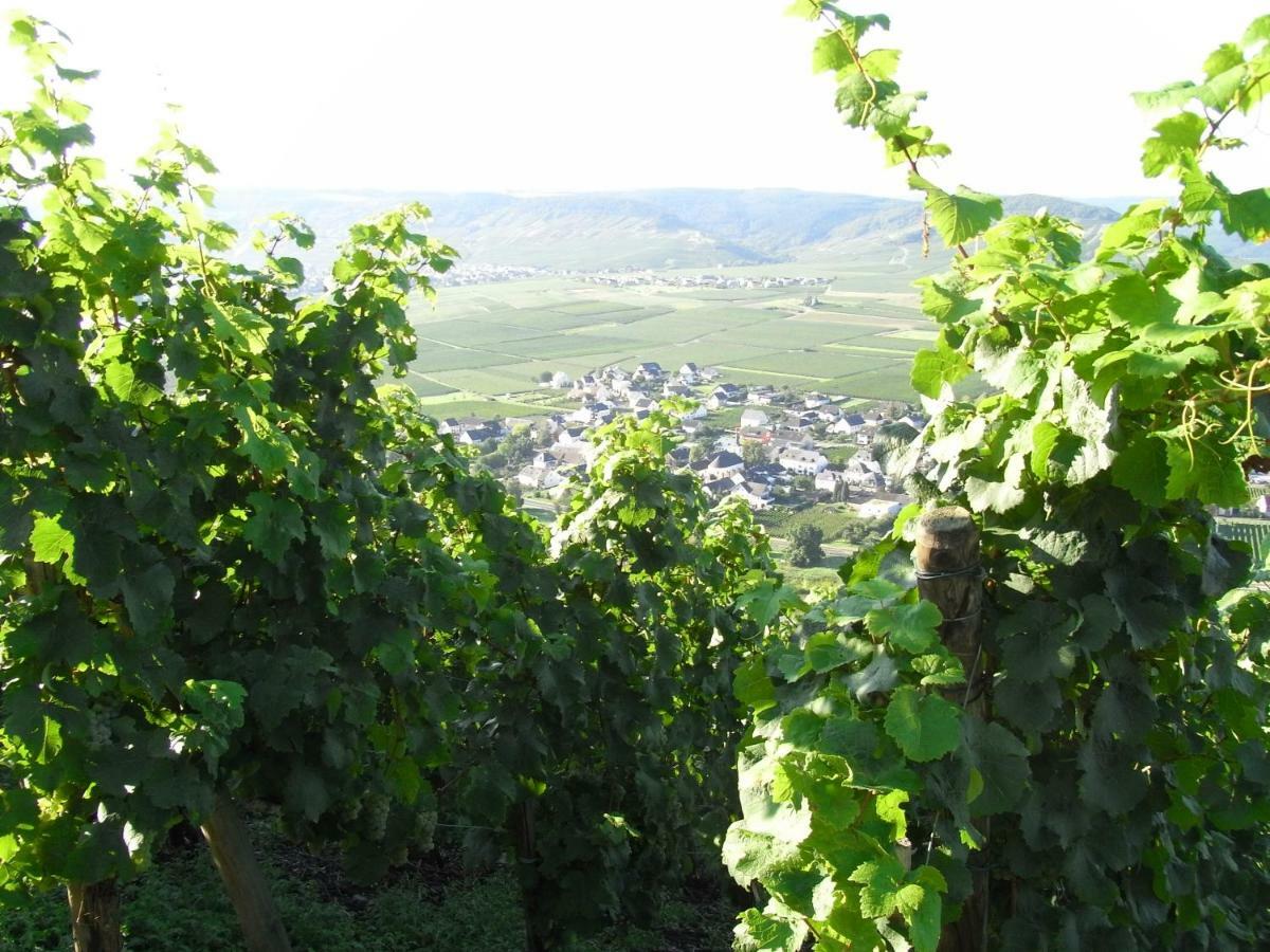 Ferienwohnung Bergblick Trittenheim Zewnętrze zdjęcie