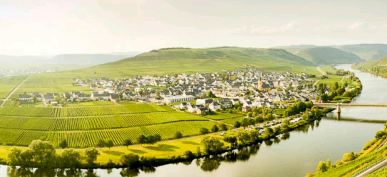 Ferienwohnung Bergblick Trittenheim Zewnętrze zdjęcie